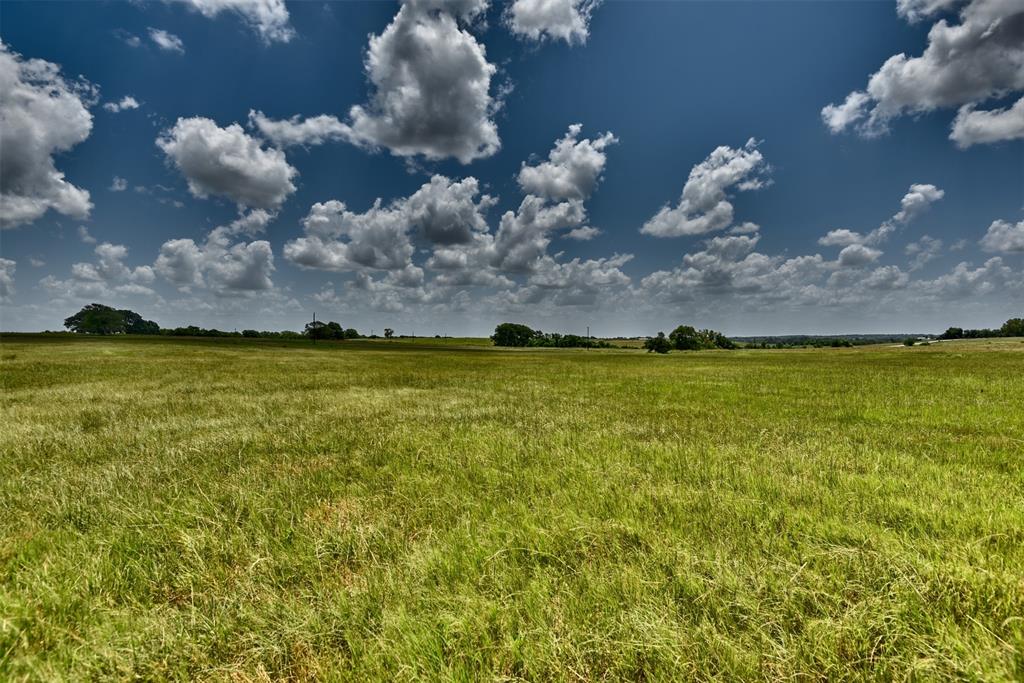 TBD Pacen Place - Lot 3  , Chappell Hill, Texas image 16