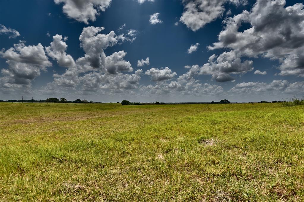 TBD Pacen Place - Lot 3  , Chappell Hill, Texas image 5