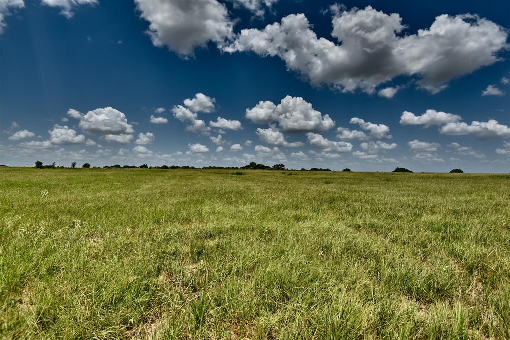 TBD Pacen Place - Lot 3  , Chappell Hill, Texas image 10