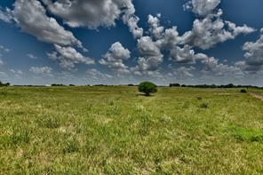 TBD Pacen Place - Lot 3, Chappell Hill, TX, 77426