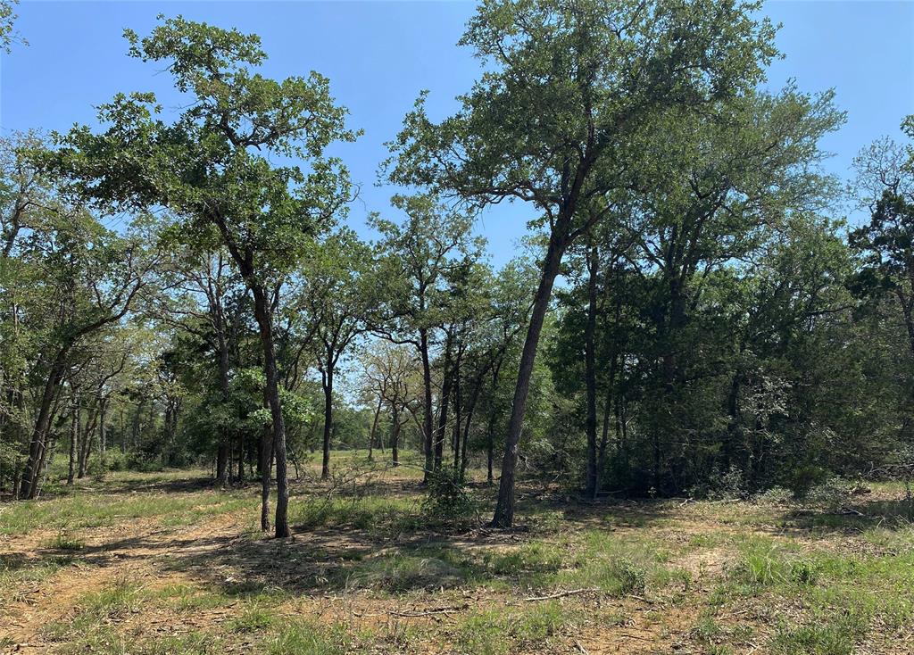 TBD  High Crossing Road - Tract 12  Smithville Texas 78957, 83
