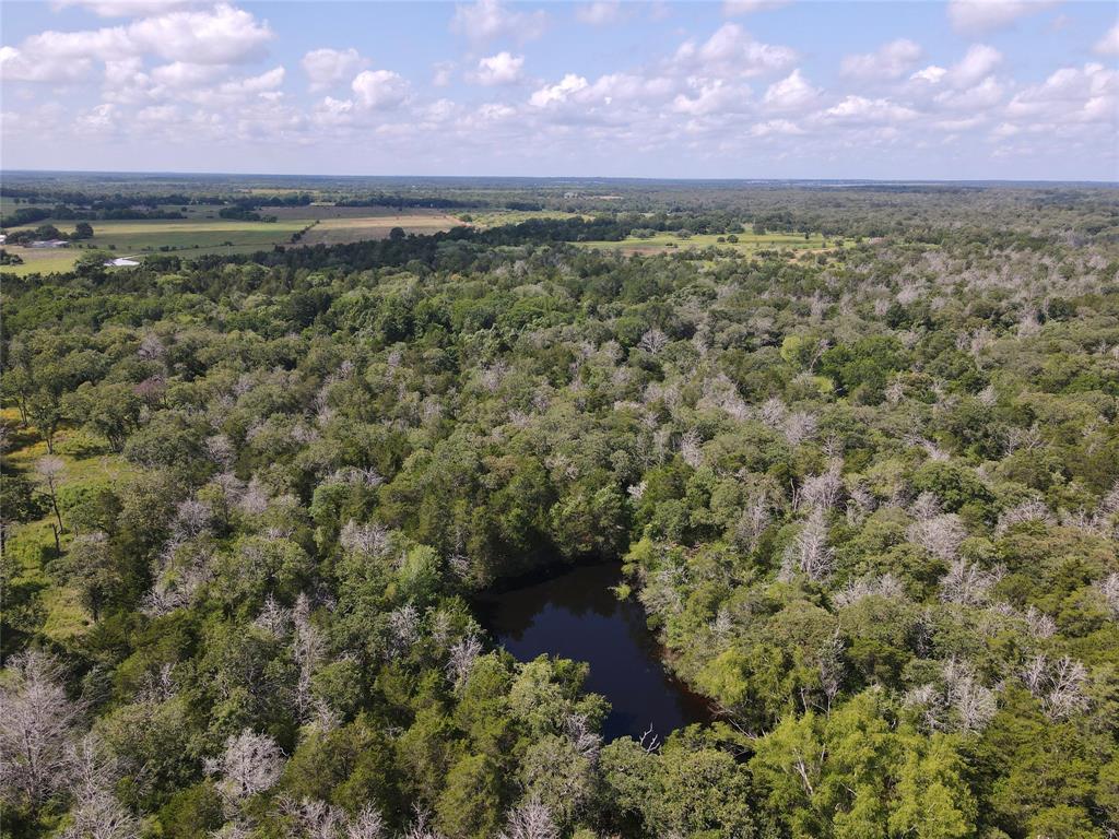 TBD  High Crossing Road - Tract 13  Smithville Texas 78957, 83