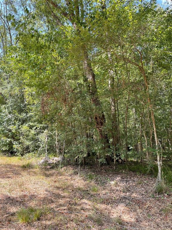 000  County Road 2853  Dayton Texas 77535, Dayton