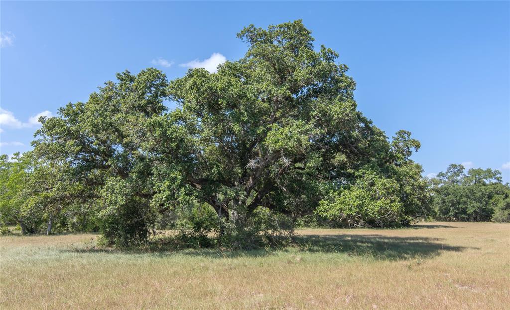 Fm 822  N, Edna, Texas image 17