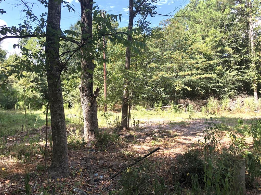 Escape the city to this secluded 13 acre tract located just outside the city limits and minutes to town. Property sits at the end of gravel road off of FM 945N. Easy access to HWY 59 or I-45 in any directions. The property is partially fenced unknown condition of the fence.