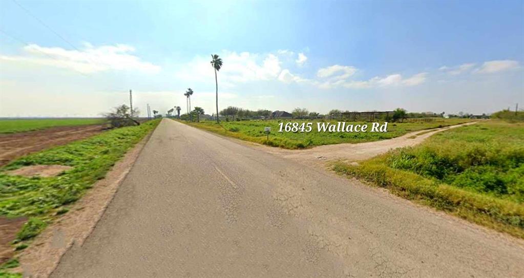16845  Wallace Road Edinburg Texas 78541, 85
