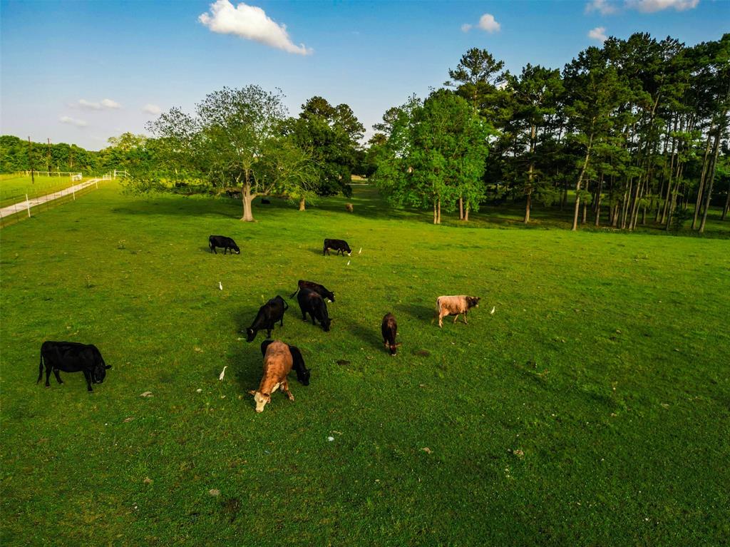 16775 Old Danville Road Rd, Willis, TX 77318