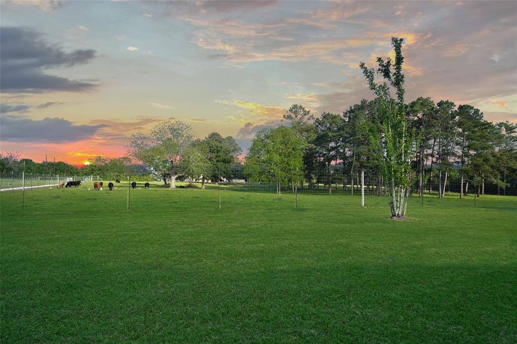 16775 Old Danville Road Rd, Willis, TX 77318