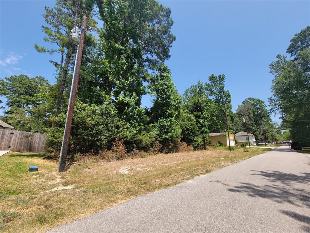 171  Cherry Tree  Livingston Texas 77351, 44
