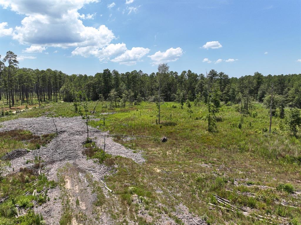 1 Private Road 7129  , Kirbyville, Texas image 1