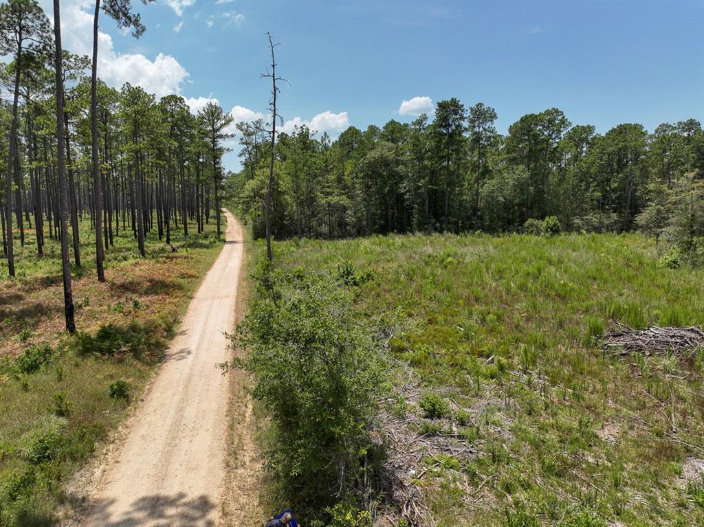 1 Private Road 7129  , Kirbyville, Texas image 3