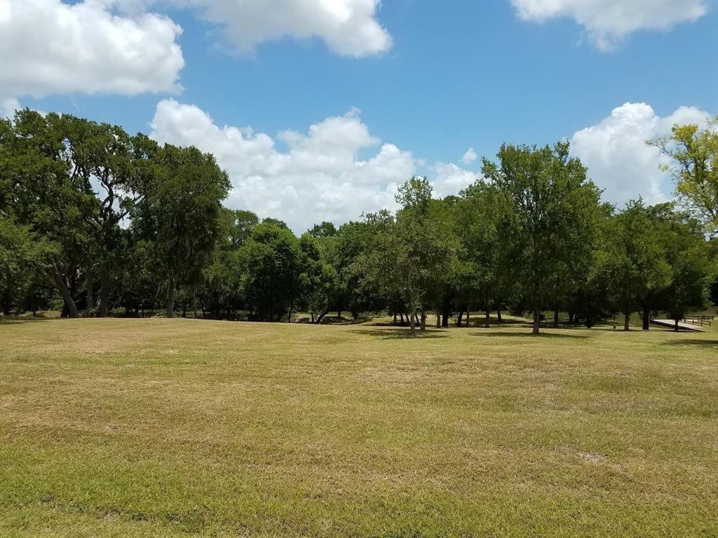 154 River Tree Drive , Blessing, Texas image 12