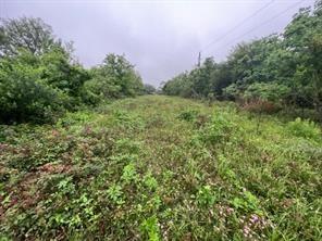 00 Noveno Dr, Brazoria 00 Noveno Dr Brazoria Texas 77422, 5