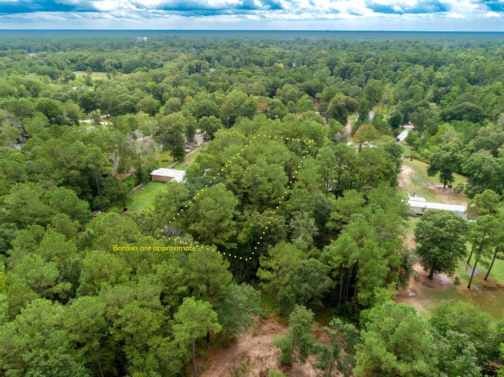 Plenty of trees to choose the ones that will make this property a one of kind!