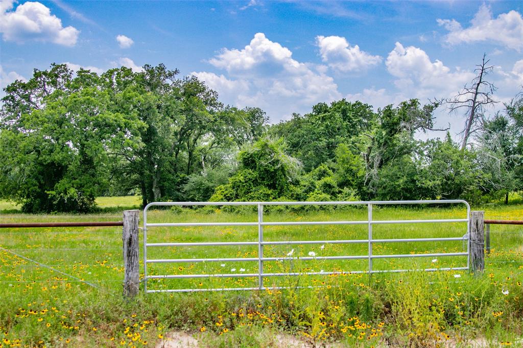 Lot 29 (5 Acres) Legacy Road , Somerville, Texas image 1