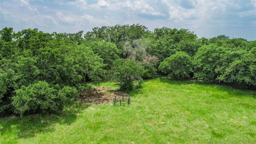 Lot 29 (5 Acres) Legacy Road , Somerville, Texas image 12