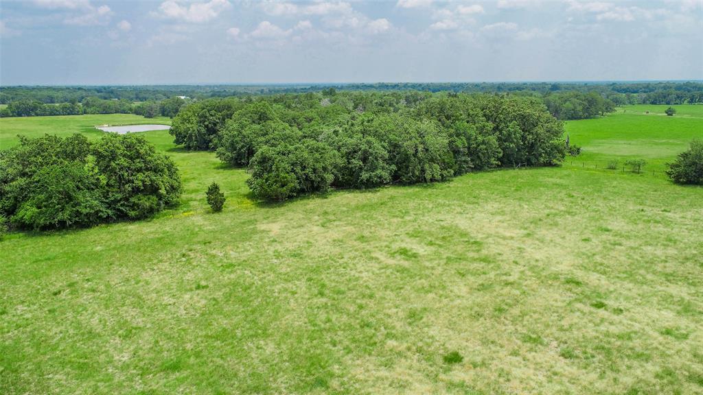 Lot 29 (5 Acres) Legacy Road , Somerville, Texas image 15
