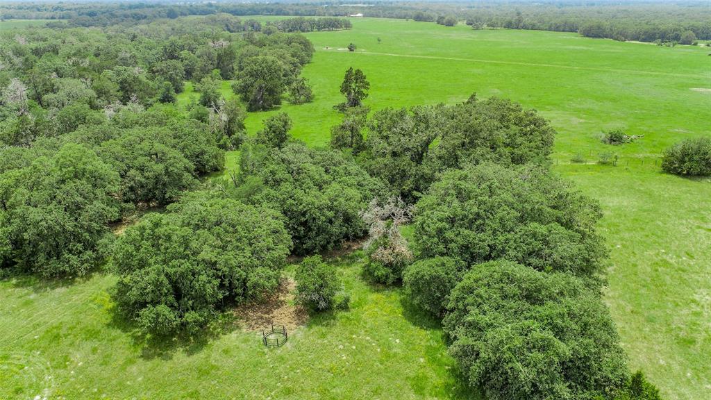 Lot 29 (5 Acres) Legacy Road , Somerville, Texas image 6