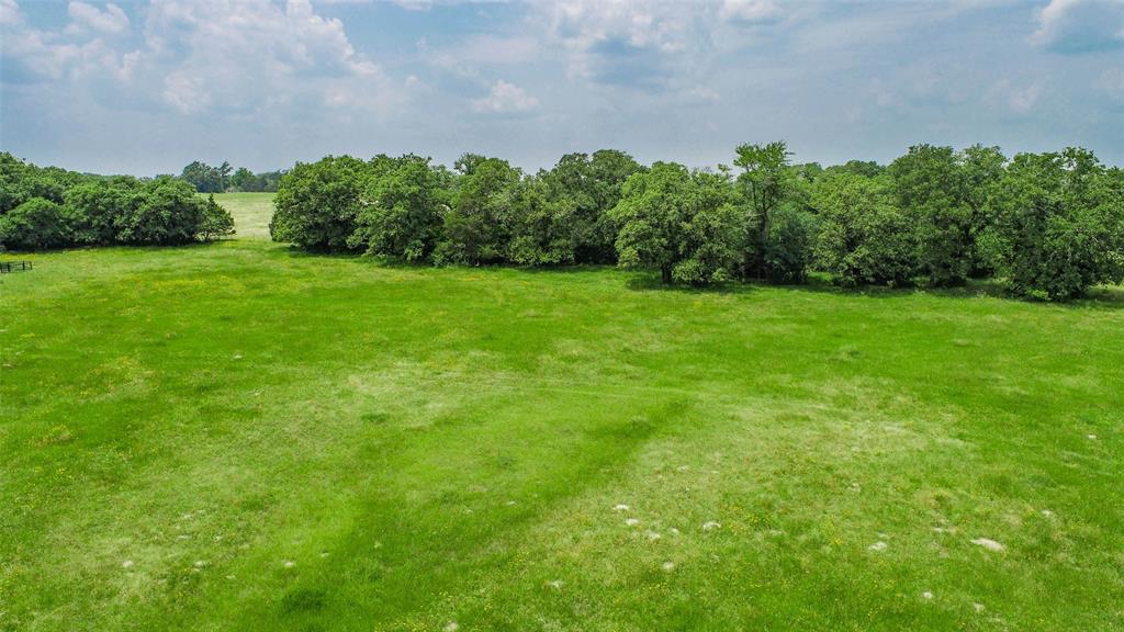 Lot 29 (5 Acres) Legacy Road , Somerville, Texas image 9