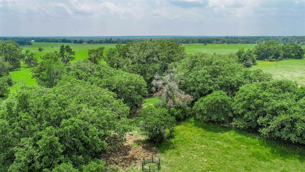 Lot 29 (5 Acres) Legacy Road , Somerville, Texas image 10
