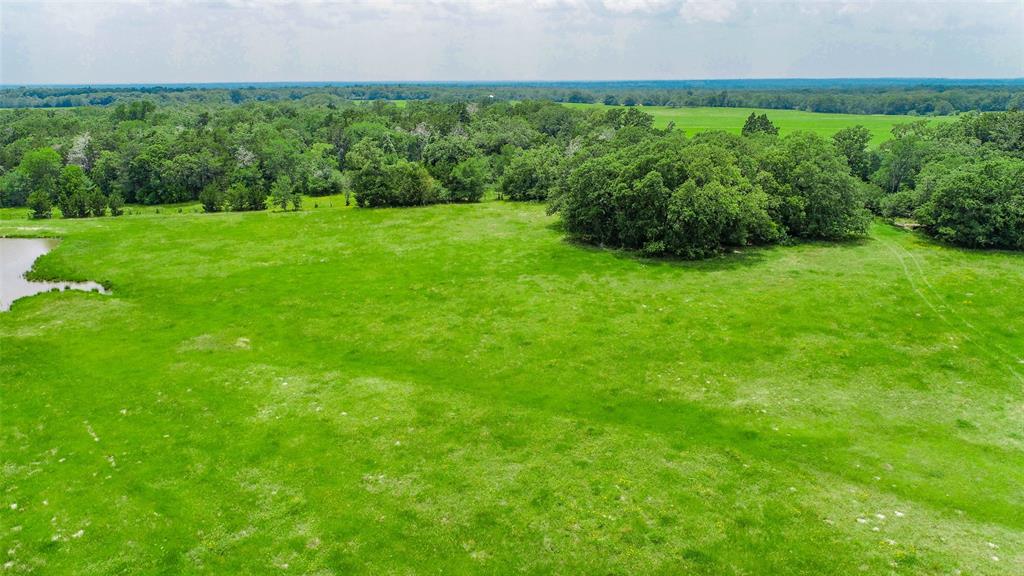 Lot 30 (5.41 Acres) Legacy Road , Somerville, Texas image 12