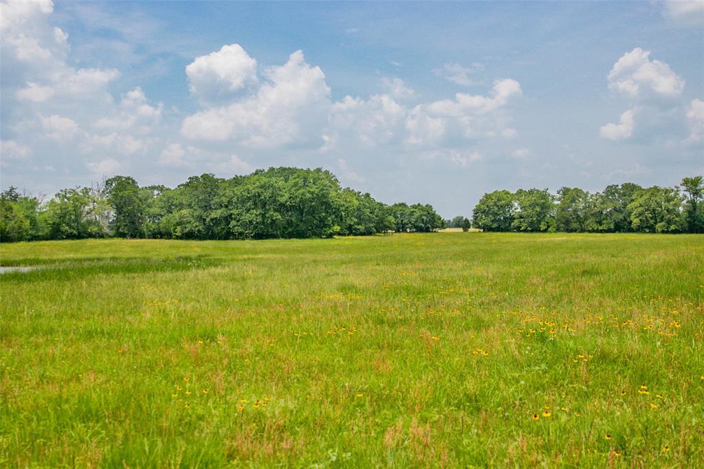 Lot 30 (5.41 Acres) Legacy Road , Somerville, Texas image 15