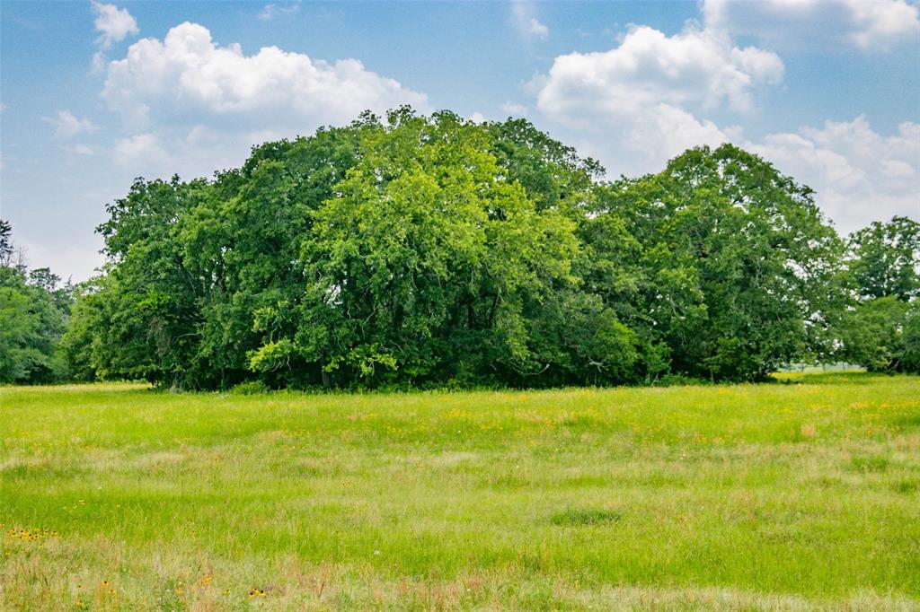 Lot 30 (5.41 Acres) Legacy Road , Somerville, Texas image 23