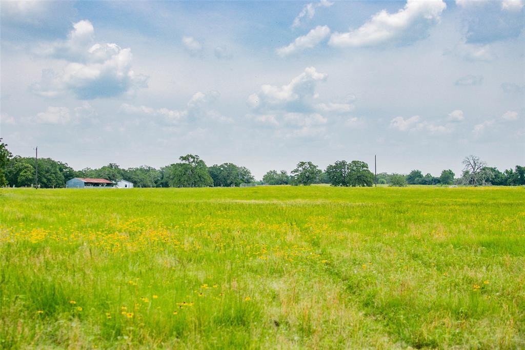 Lot 30 (5.41 Acres) Legacy Road , Somerville, Texas image 25