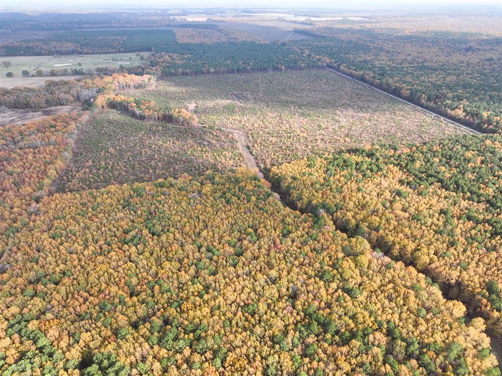 County Rd 4223  , Simms, Texas image 14