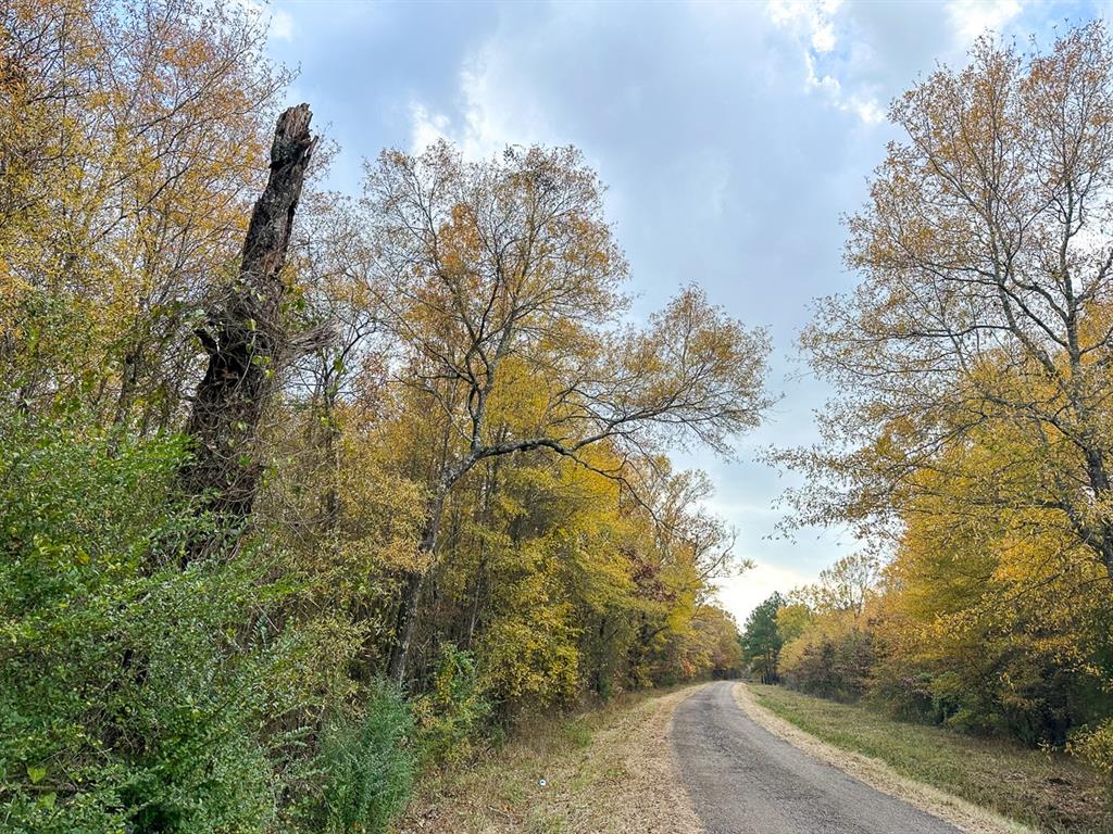 County Rd 4223  , Simms, Texas image 16