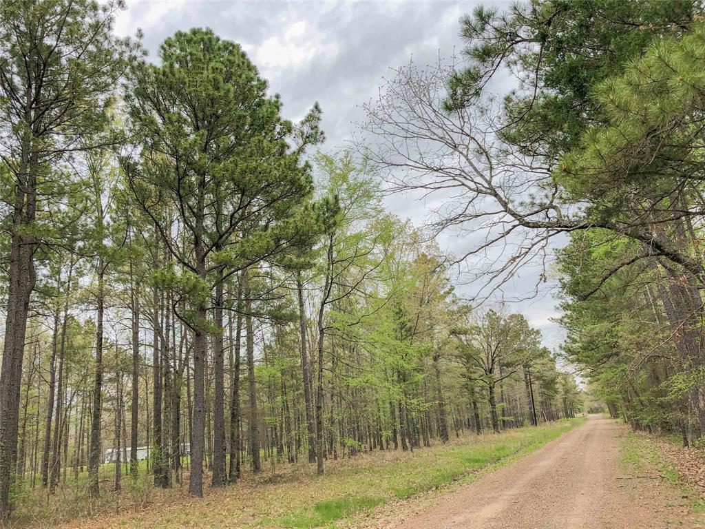 County Rd 4223  , Simms, Texas image 7