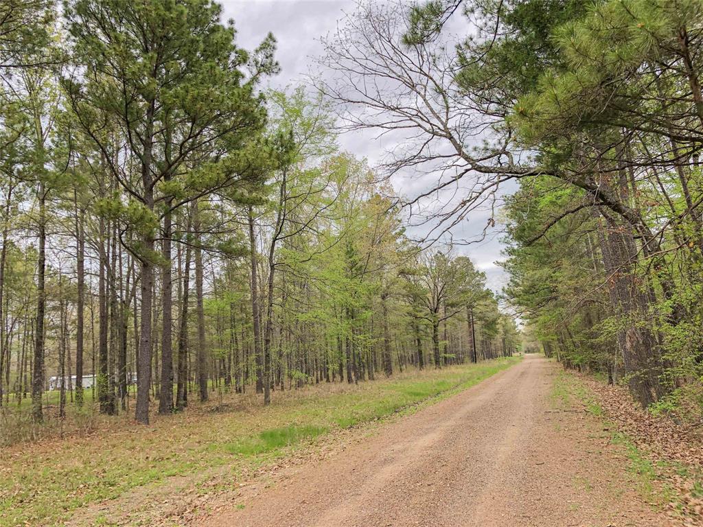 County Rd 4223  , Simms, Texas image 8