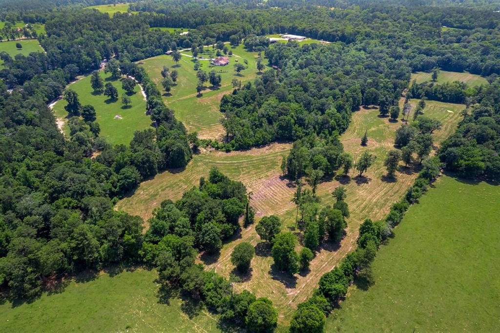 AERIAL VIEW OF 51.907 ACRE ESTATE