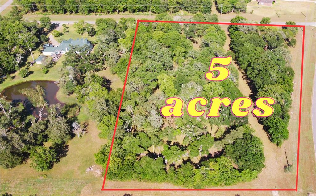 17514  Hamill Drive Rosharon Texas 77583, Rosharon