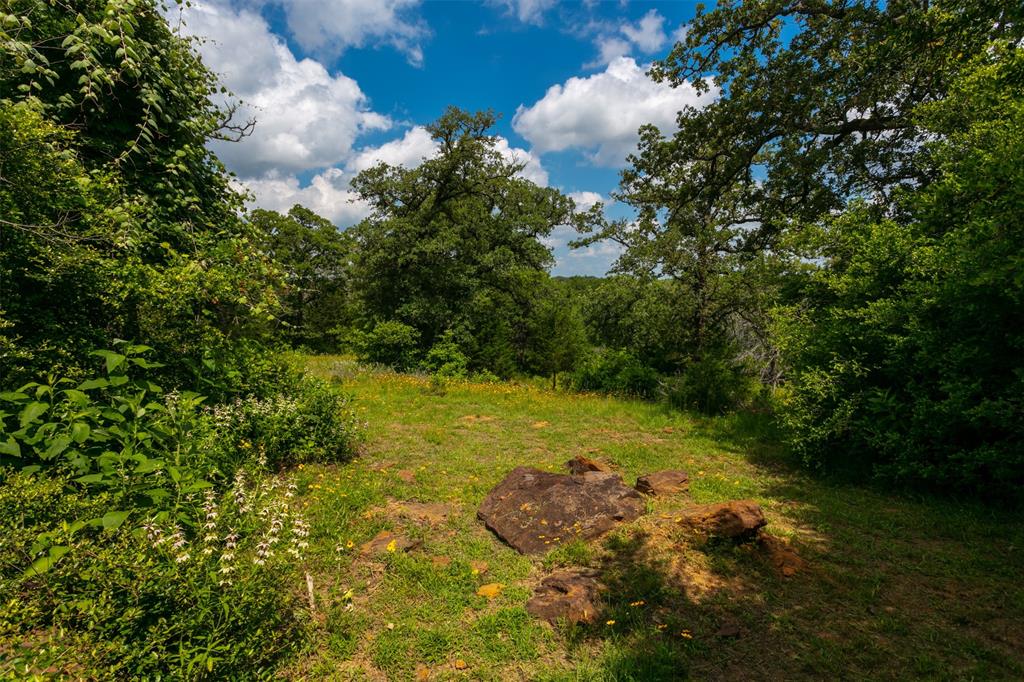 Potential Homesite With Treetop View