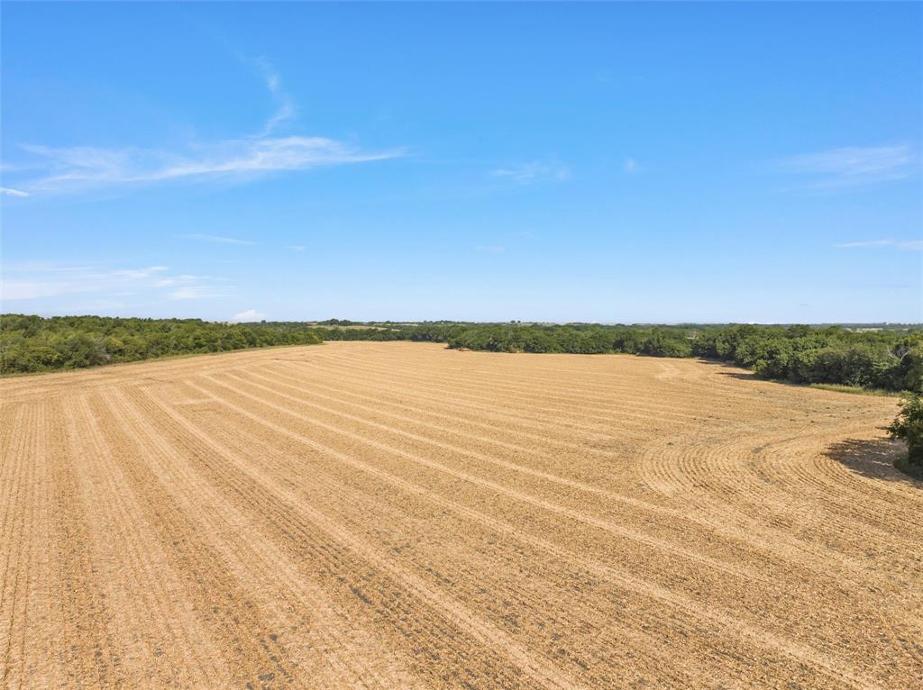 000 Hwy 77  , Rosebud, Texas image 10