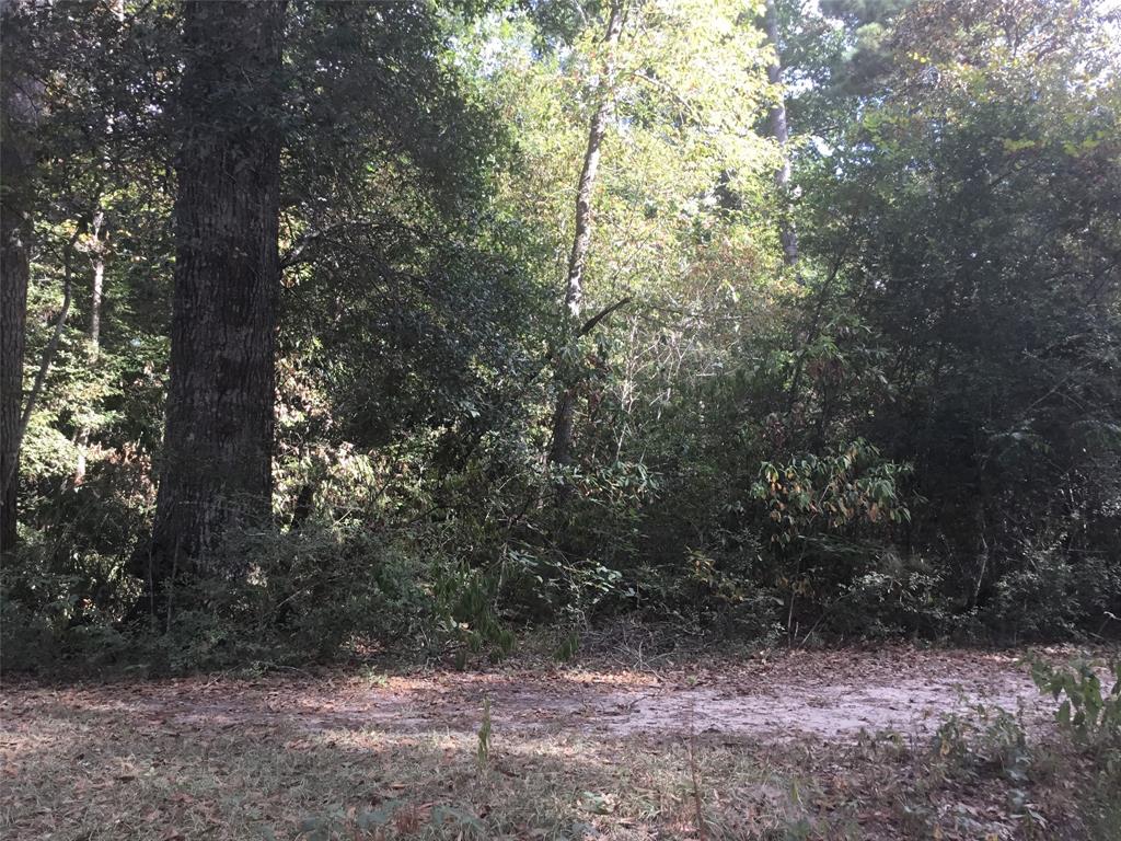 267  Patsy Drive Livingston Texas 77351, 44