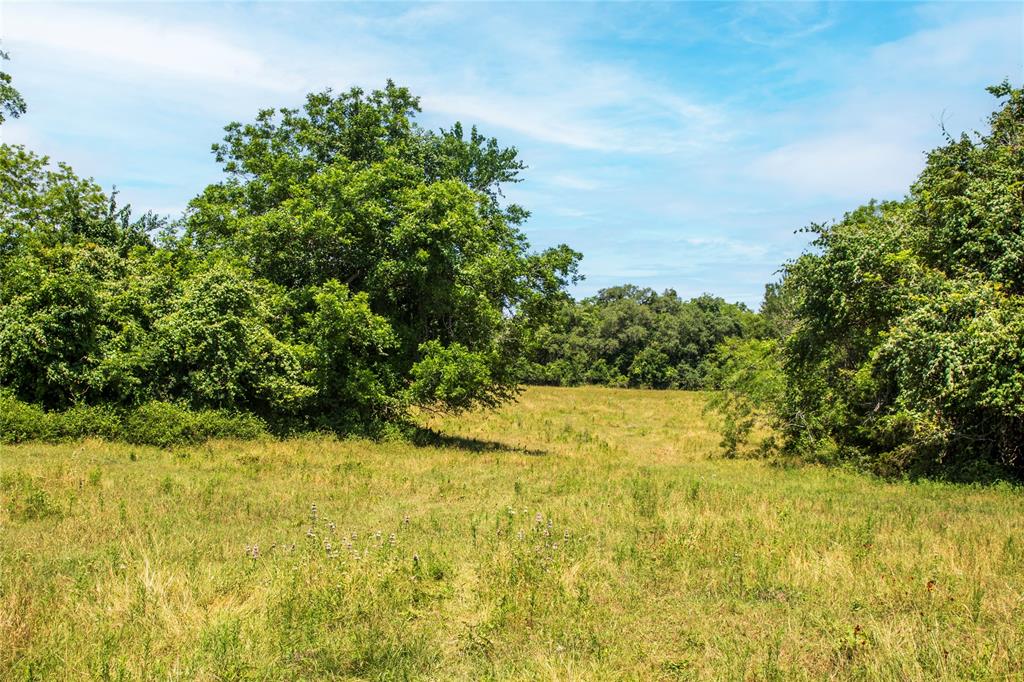 3521 Bryant Road , Schulenburg, Texas image 10