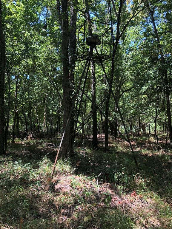 Deer Blind in the back wooded area