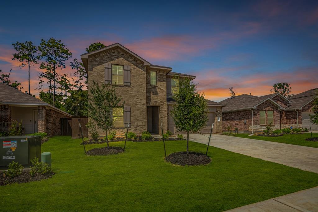 21581  Starry Night  New Caney Texas 77357, New Caney