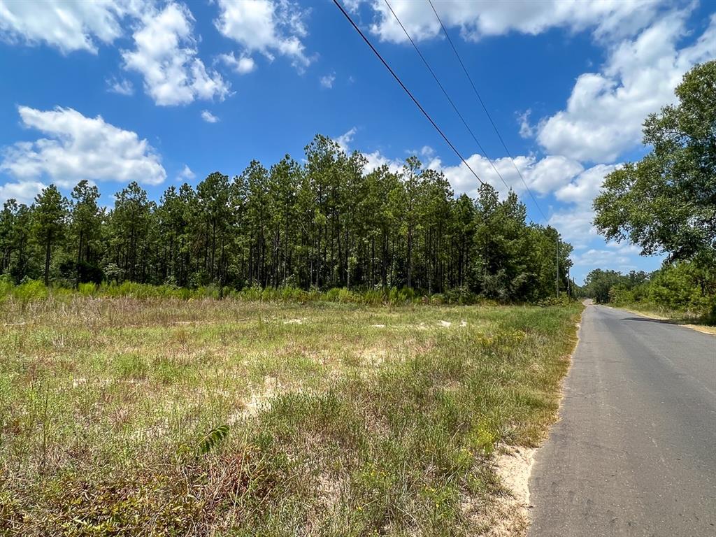 00 County Road 1325  , Warren, Texas image 12