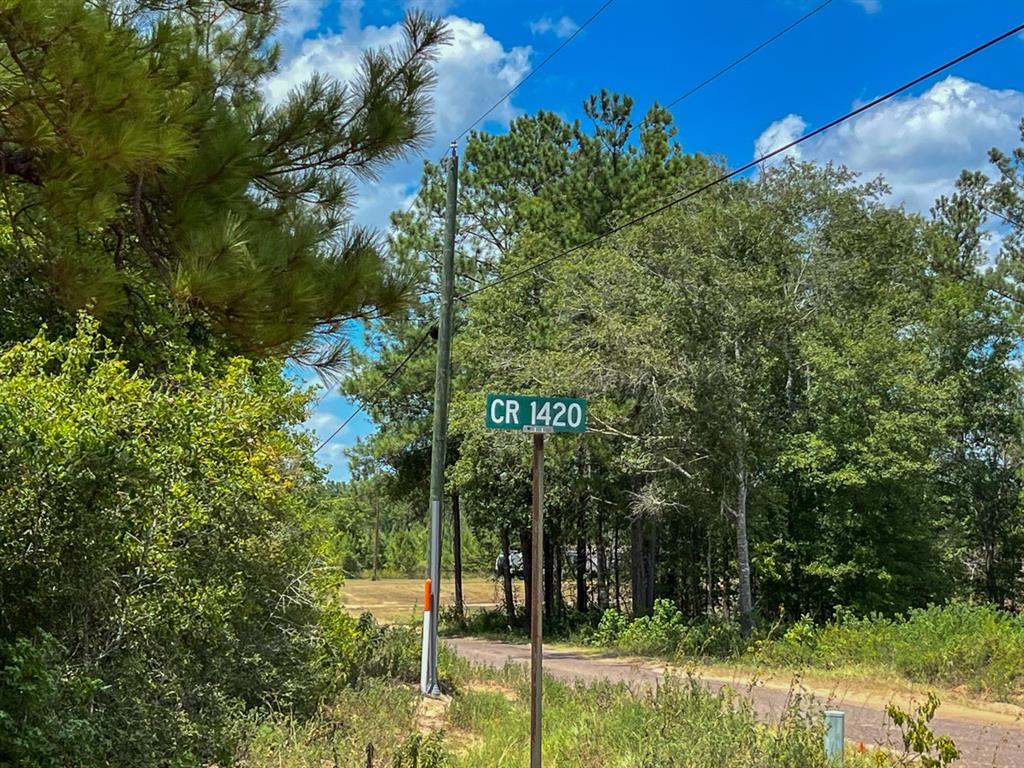 00 County Road 1325  , Warren, Texas image 13