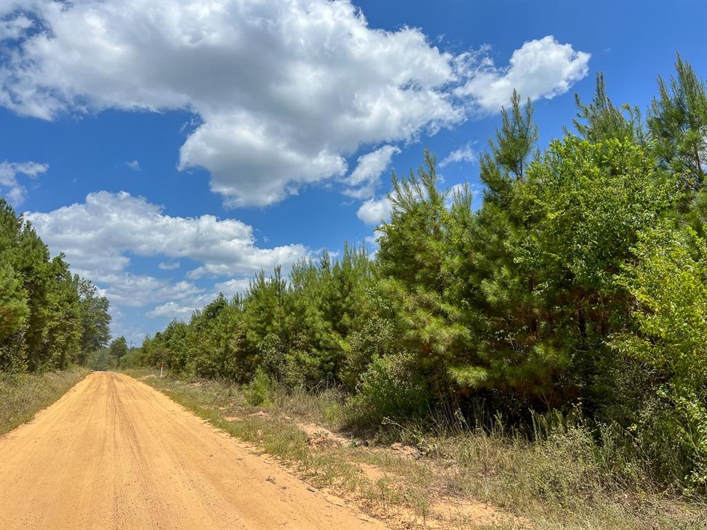 00 County Road 1325  , Warren, Texas image 14