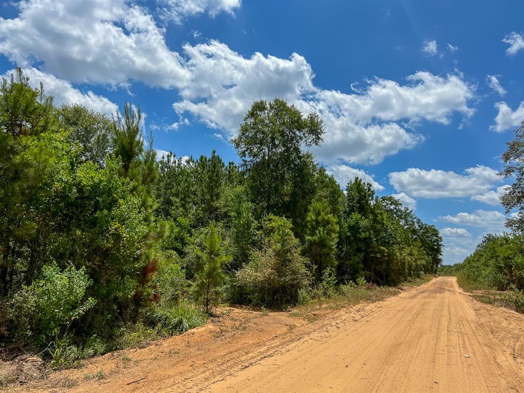 00 County Road 1325  , Warren, Texas image 15