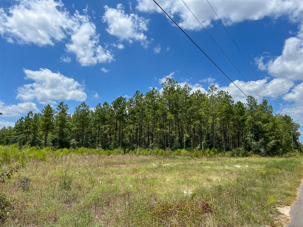 00 County Road 1325  , Warren, Texas image 4