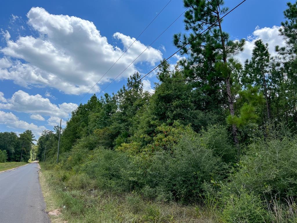 00 County Road 1325  , Warren, Texas image 8