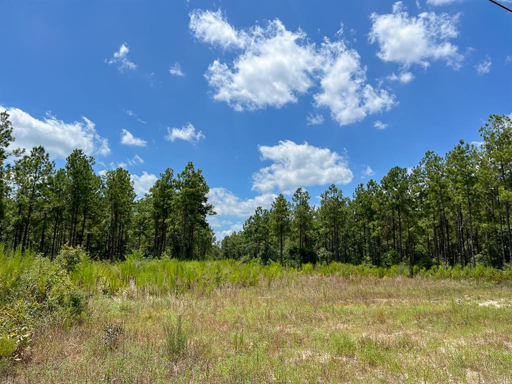 00 County Road 1325  , Warren, Texas image 10