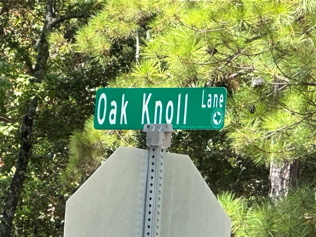 4723 Oak Knoll Lane , Montgomery, Texas image 13