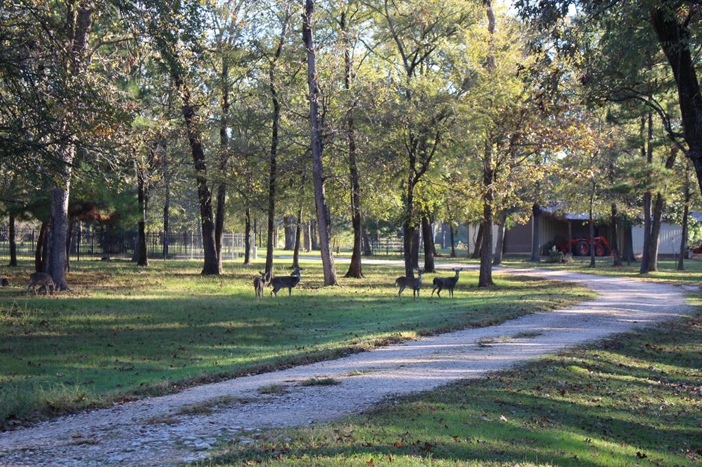 The long driveway winds up toward the home welcoming all visitors.