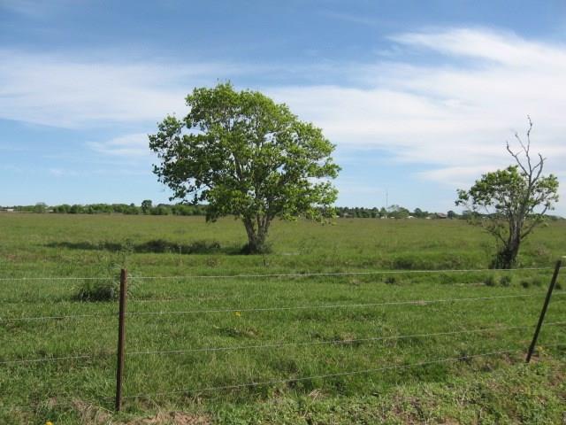 CR308 Fm1163  , El Campo, Texas image 5